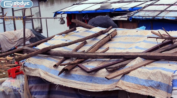 Cách chống rét "đặc hiệu" của người dân nghèo bãi giữa sông Hồng là dùng bạt và các thanh củi